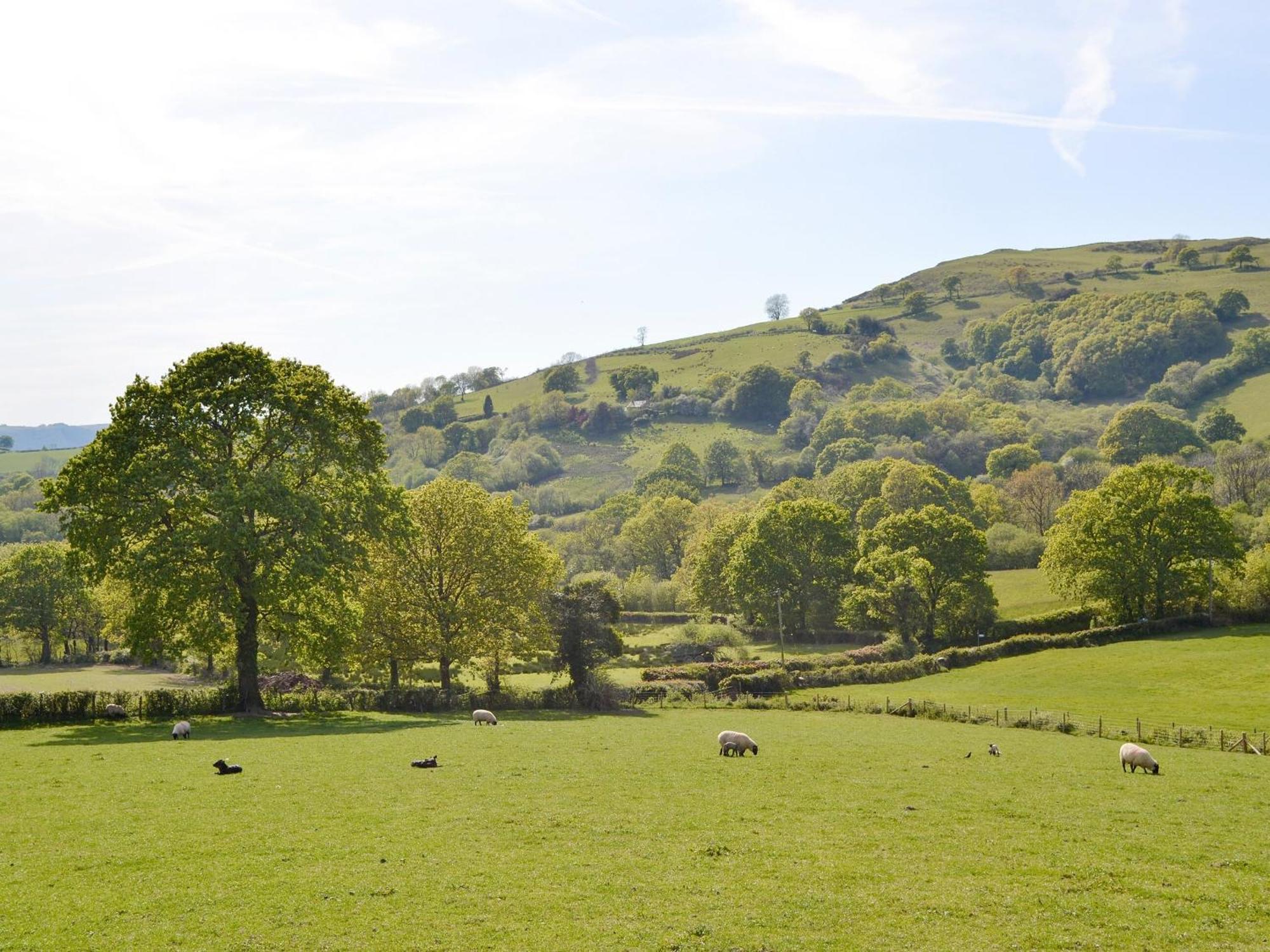 Maes Y Bryn Farmhouse Llanwrda Esterno foto